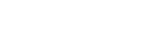 VisaXplorer-Logo